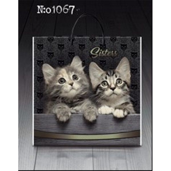 Пакет с пластиковой ручкой №1067 "А" 36х37 10 шт.